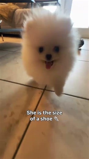 Munchie is just so cute!!