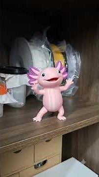 The cutest axolotl I can't have at home, but I made it in 3D.