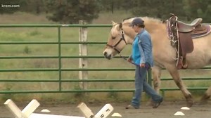 Horses provide therapy to riders with special needs