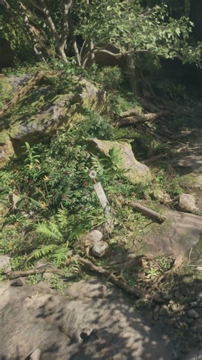 Alien Jungle Ambience – Relaxation & Meditation – 4K