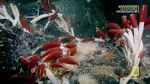 Alien Deep With Bob Ballard S01 Ep3