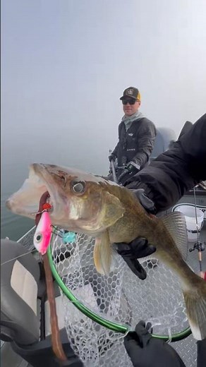 Staying vertical, reading the bite, and putting a walleye in the net!