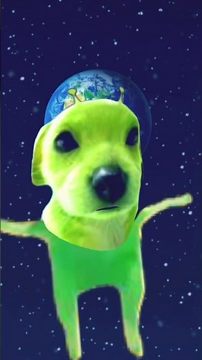 Alien doggo