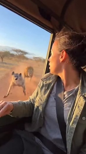 Woman closes window as hyena approaches! | AI Dog Scientist