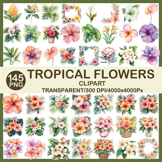 Tropical Flower Clipart PNG | 145 Summer Floral Illustrations (300 DPI, Transparent Backgrounds) - Etsy