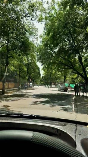 Run Down The City 🎶 || #shorts #lifestyle