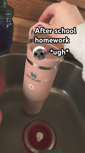 After school homework