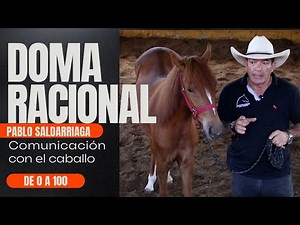 The Rational Taming Method with Pablo Saldarriaga