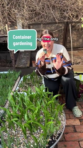 Container Gardening Tips for Your New Build Garden