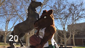 17K views · 84 reactions | Hey Broncos, registration for Summer Session begins today! If you're not on pace to take 30 units this academic year, summer is the perfect time to make up ground. Options include two five-week sessions and one 10-week session. More information here: https://www.cpp.edu/~summer/ | Cal Poly Pomona | Facebook
