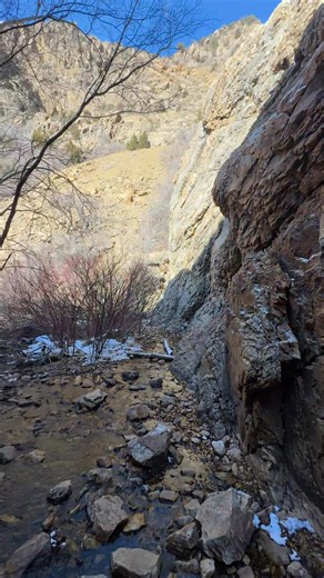 Heather Nicole on Reels