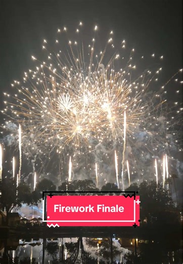 Epcot-The grand finale of fireworks. Always amazing!! #disney #epcot #fireworks #themepark #soundtrack