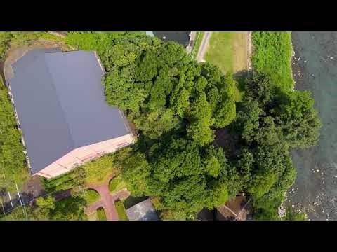 The Psychology of Perseverance: When Passion Meets Action (True Story)