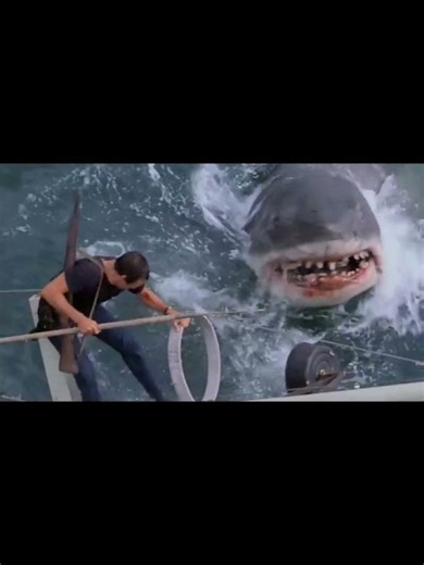 Bruce the shark (finding nemo) versus bruce the shark jaws #edit