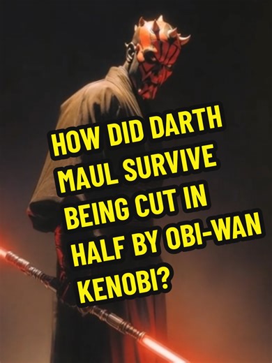 Darth Maul was born on Dathomir as a Nightbrother, the son of Mother Talzin. His connection to the dark side was present from birth. Before he could form lasting memory, Darth Sidious took him and set the course of his life. Maul was raised in complete isolation. On worlds such as Mustafar, he was trained through discipline, repetition, and controlled suffering. Machines became his instructors. Rage became his language. Obedience and focus were reinforced every day, shaping him into a weapon rat