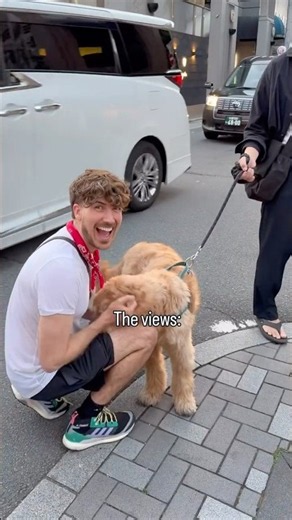 Can you tell I have a type? 🤭🇯🇵🐶