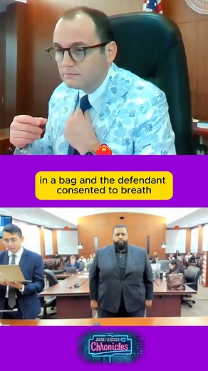 The defendant, charged with a second DUI, is accused of running a red light and being involved in a collision. #CourtUpdate #JusticeSystem #LegalProceedings #JudgeFleischer #DWICase #CourtHearing #CaseReview #LegalUpdate | Judge Fleischer Chronicles