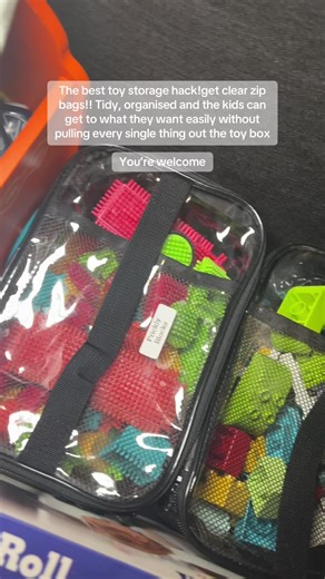 Ultimate Toy Storage Solution with Clear Zip Bags