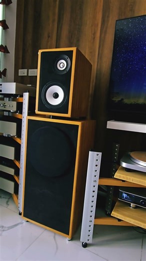Babel Part 2 #highend #audiophile #loudspeaker #hifiaudio #diyaudio #hifi