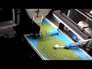 Intralox ThermoDrive® Conveyor Belt Solutions for Specific Food Processing Applications