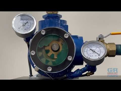 How a Rotary Gear Pump Works