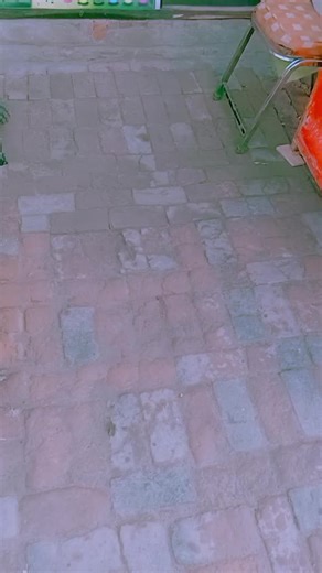 Exploring the World of Tropical Fruits