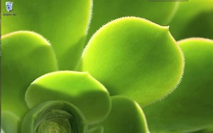 Installing Common Lisp, Emacs, Slime & Quicklisp