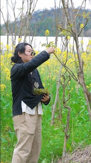Fragrant Toona Sinensis Egg Stir-Fry | So Delicious!