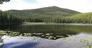 Chapman Lake