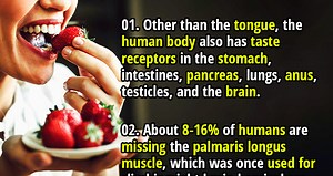 50 Complicated Facts about Human Organs - Fact Republic