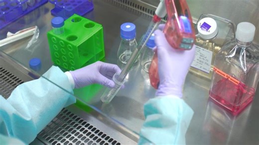 Cell Culture Video: Step-by-Step Guide to Passaging Cells | Razan Nasr