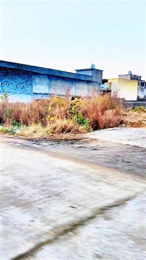 #foreyou #foryoupages #virlvedio😎😘😘 #unfrezzmyaccount @yarbadsha @🇶🇦🥃King'off Attack 1👑 @IQRA KASHIF @Adeel khan @attock @a___awais786 @اے نہ ہزار سال🥰🥰 @papa ke shazidy attock @Alishba Khan @khanasifasif0940 @Babu Maaz