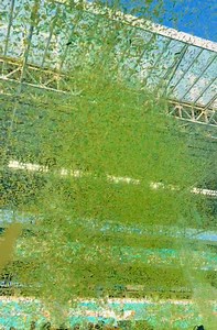 Still soaring from the winning feeling 🍊 💚 💛 | University of Oregon