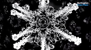 WATCH: Stunning photos of snowflakes echo Wilson 'Snowflake' Bentley