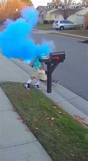 Mailbox Thief vs GLITTER BOMB Trap! Instant Karma (CCTV)