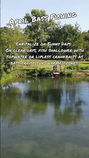 April Bass Fishing Tips #8