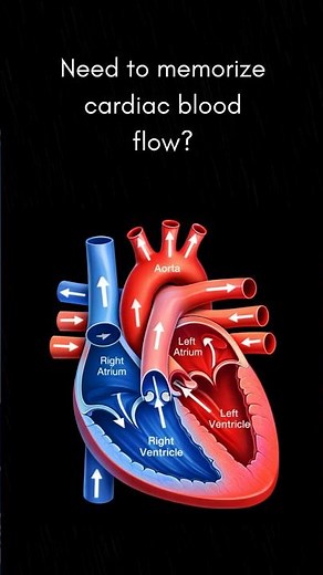 Cardiac Blood Flow song | "Follow the Flow" #nursingschool #nursingeducation #nursingstudents