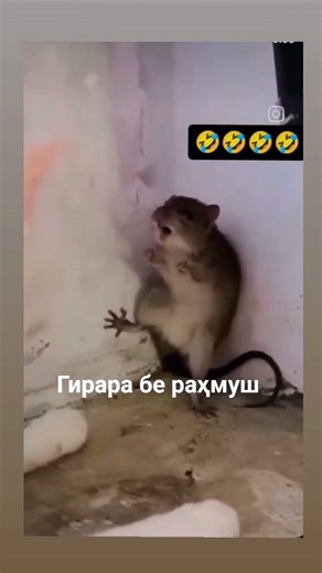 1 апреля 2026 г.