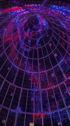 Mile High Tree at new location in downtown Denver