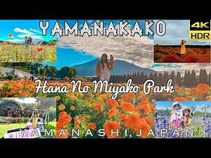 Yamanakako Hana no Miyako Park | Yamanashi, Japan