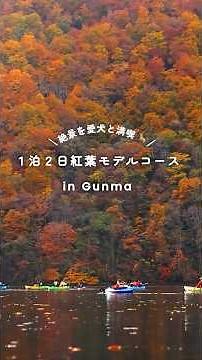 「わん旅ぐんま」絶景を愛犬と満喫！1泊2日紅葉モデルコース篇｜観光リトリート推進課｜群馬県