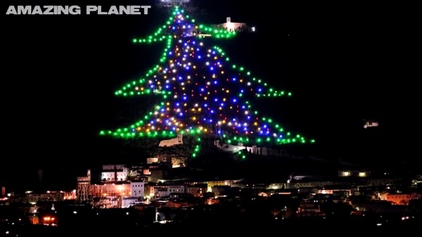 World’s BIGGEST CHRISTMAS TREE!