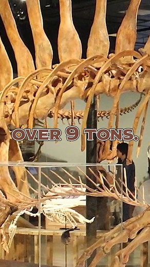 How Giant Fossils Are Changing Our View of the World #discovery #unexpected #science #reels | Origins Explained