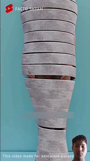 How Are Mummies Made: Explained in 3D Animation #shorts #animation