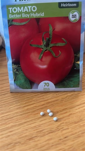 Raised Bed Gardening | I’m starting some seeds indoors (New Hampshire) and opened this seed packet to find these seeds | Facebook