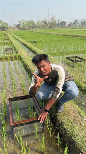Gas testing device for rice cultivation,