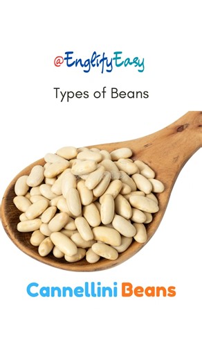 Types of Beans in English | Learn Food Vocabulary Easily | EnglifyEasy