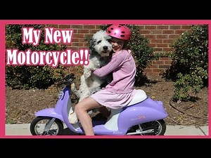 Razor Pocket Mod Scooter Review by Baby Gizmo