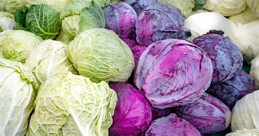 Chou rouge ou chou blanc : lequel est le meilleur pour la santé ?