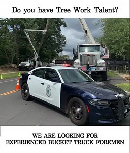 38 reactions | We are Hiring! Do you have tree work talent? We have the work for talented tree workers. Come join our team today! Apply today at DistinctiveTreeCare.com | Distinctive Tree Care | Facebook